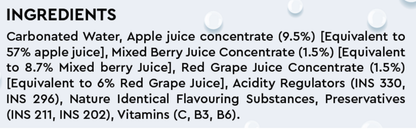 Mixed Berry Premium Crafted Fruit Soda | Pack of 6 | 250 ml