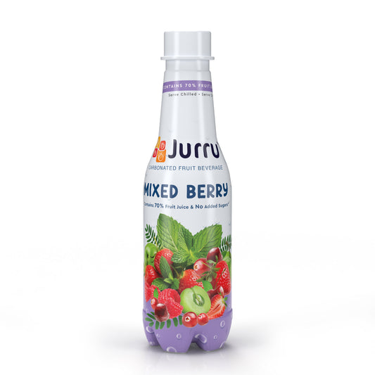 Mixed Berry Premium Crafted Fruit Soda | Pack of 6 | 250 ml