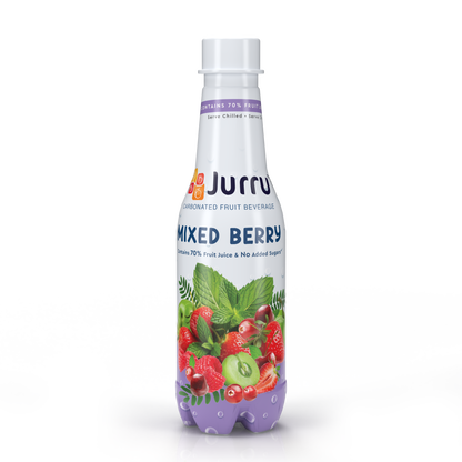 Mixed Berry Premium Crafted Fruit Soda | Pack of 6 | 250 ml